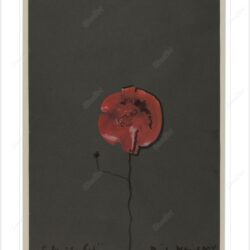 Mindy Weisel Inside Red