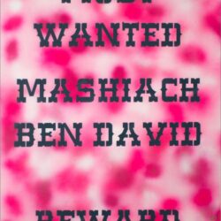Sophia Kaminski Wanted Mashiach Ben David