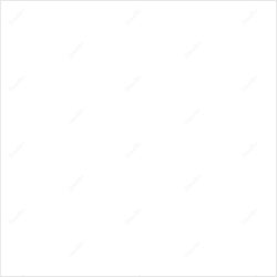 Chani Cohen Zada Upside down