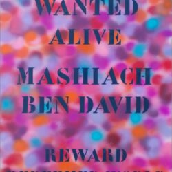 Sophia Kaminski Wanted Alive: Mashiach Ben David