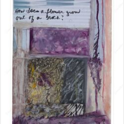 Mindy Weisel How Does a Flower Grow out of a Rock
