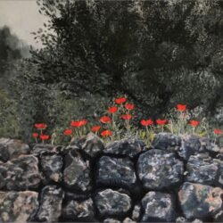 Chani Cohen Zada Anemones