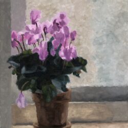 Chani Cohen Zada, Cyclamen, from Flowers of Israel Series