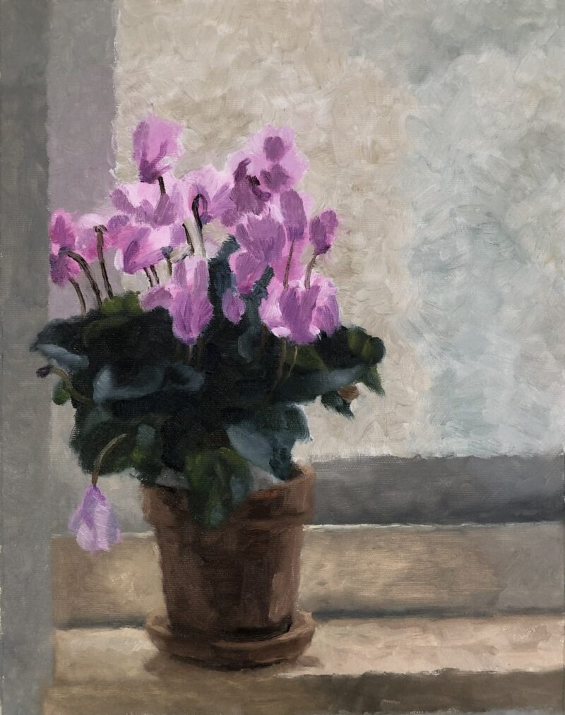 Chani Cohen Zada, Cyclamen, from Flowers of Israel Series