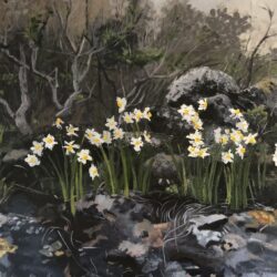 Chani Cohen Zada, Daffodils, 2022, museum quality reproduction