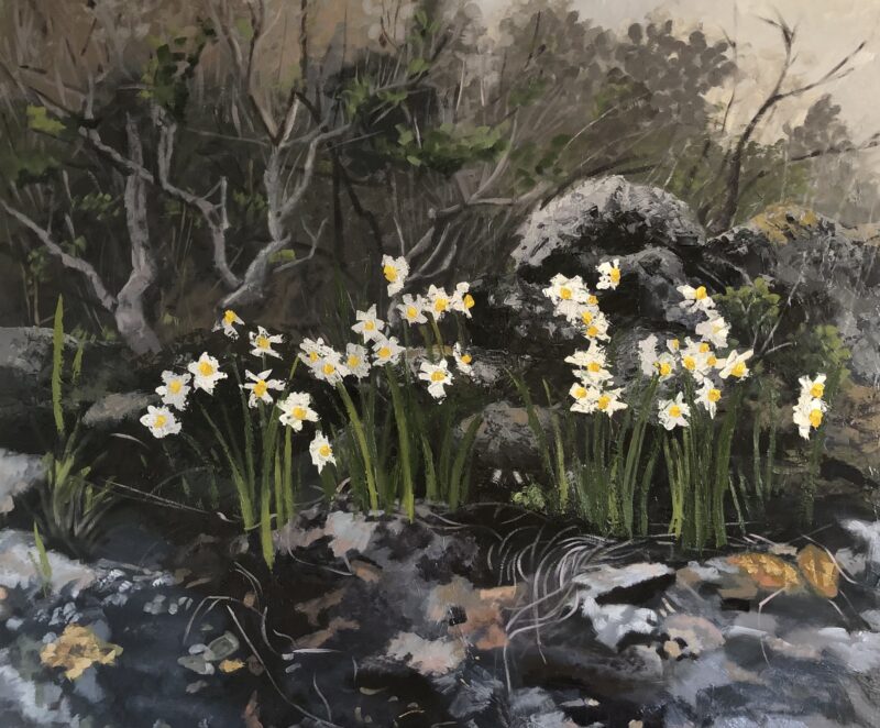 Chani Cohen Zada, Daffodils, 2022, museum quality reproduction