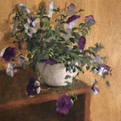 Chani Cohen Zada, Party of Petunias, from Flowers of Israel Series