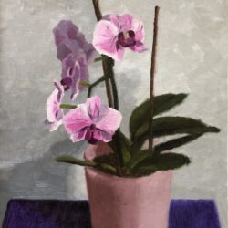 Chani Cohen Zada, Orchid, from Flowers of Israel Series