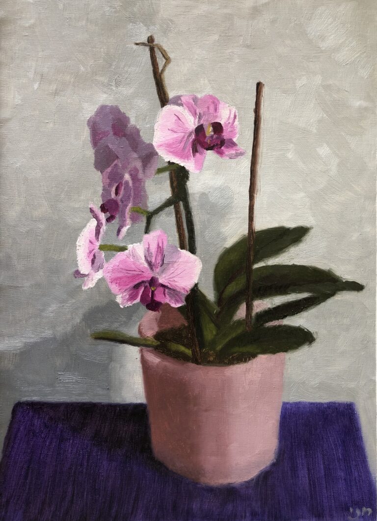 Orchid, from Flowers of Israel Series