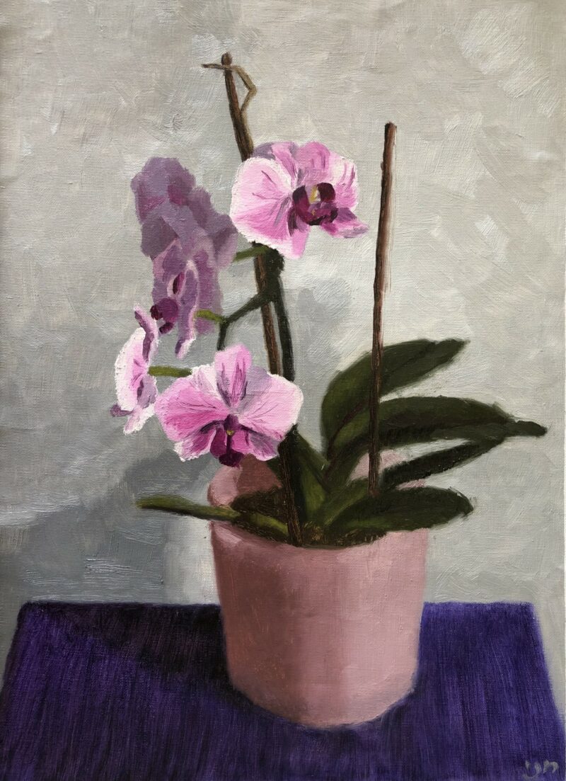 Chani Cohen Zada, Orchid, from Flowers of Israel Series