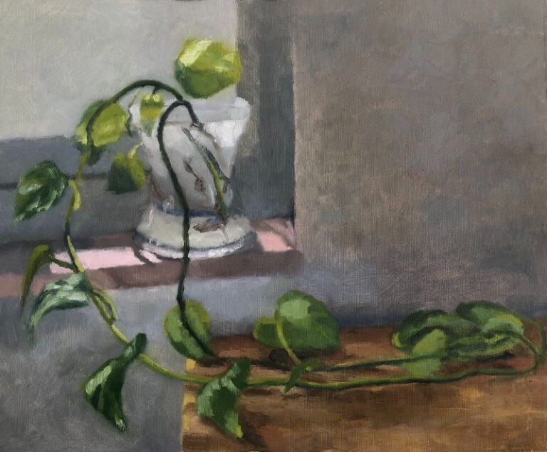 Ivy