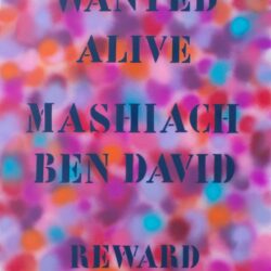 Sophia Kaminski, Wanted Alive: Mashiach Ben David