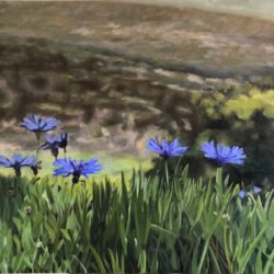 Chani Cohen Zada, Field of flowers
