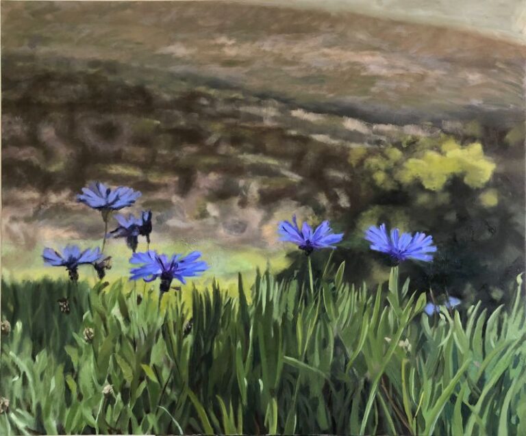 Field of flowers