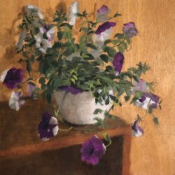 Chani Cohen Zada, Party of Petunias