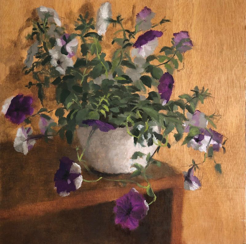 Chani Cohen Zada, Party of Petunias