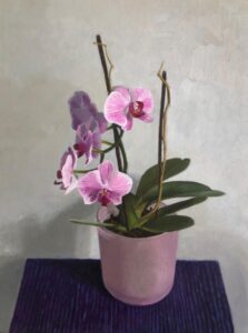 Orchids