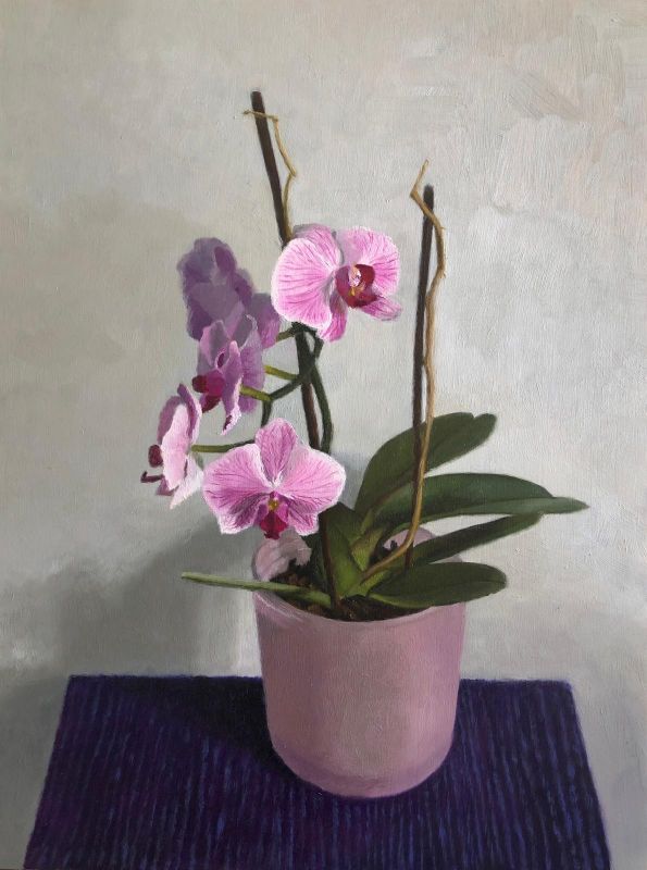 Orchids