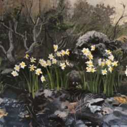 Chani Cohen Zada, Daffodils