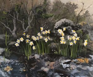Daffodils