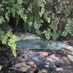 Chani Cohen Zada, …A well of living waters… (Shir Hashirim 4:15)