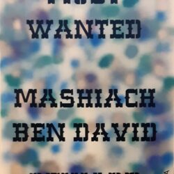 Sophia Kaminski, Most Wanted