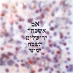 Sophia Kaminski, If I forget You, Jerusalem