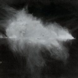Raquel Sanchez, Freedom